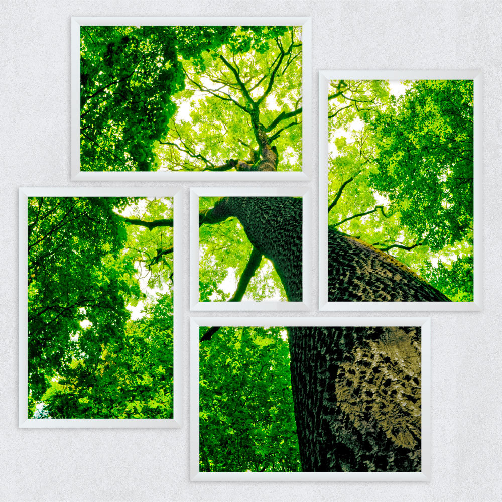 Conjuntos de Quadros Decorativos Assimétrico Árvore Verde