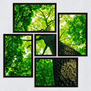 Conjunto de Quadros Decorativos Assimétrico Árvore Verde